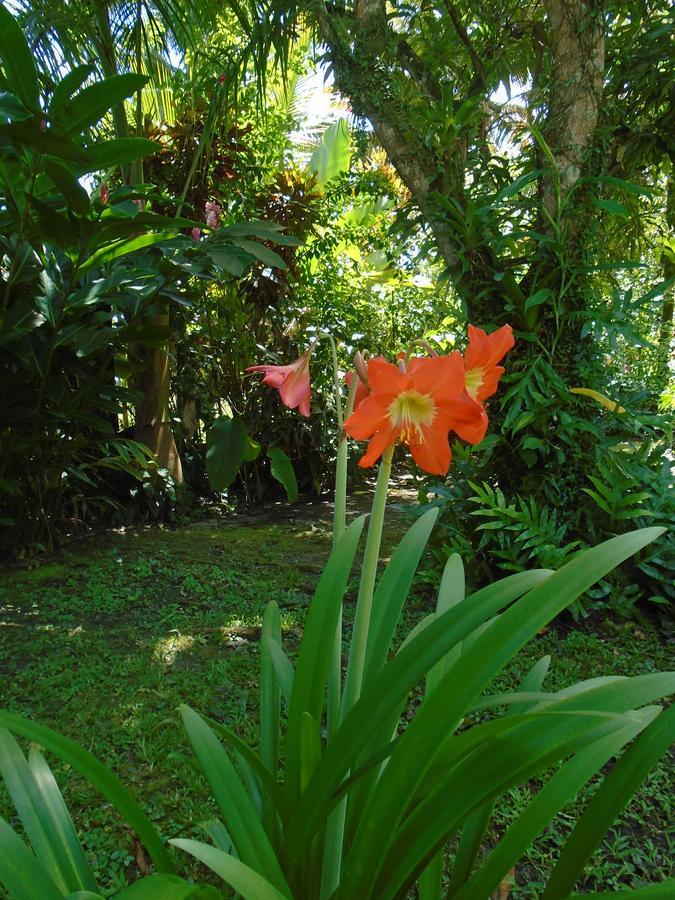 J And H Garden Cabinas بوكاس تاون المظهر الخارجي الصورة